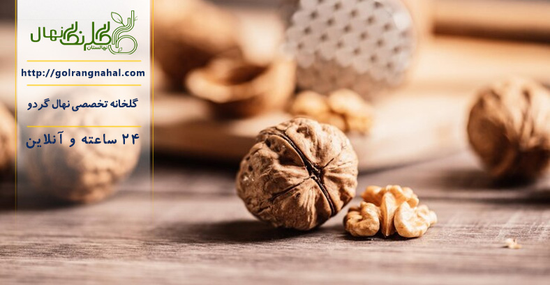 بهترین کود مایع برای درخت گردو