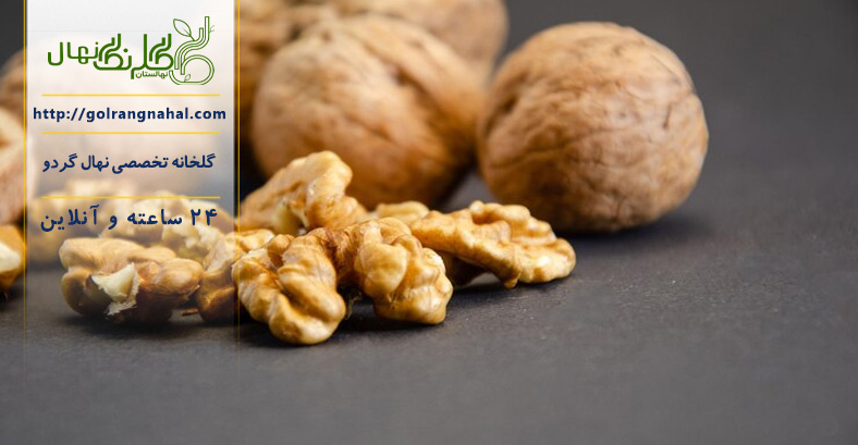 بهترین کود مایع برای درخت گردو