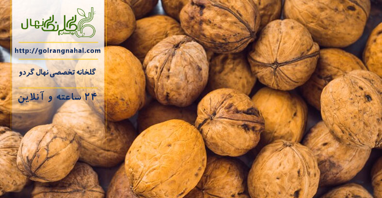 بهترین کود مایع برای درخت گردو