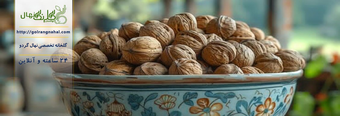 نهال گردو فرنور پیوندی