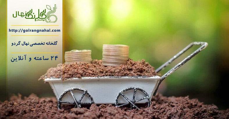 وام احداث باغ گردو 