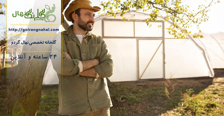 وام احداث باغ گردو 