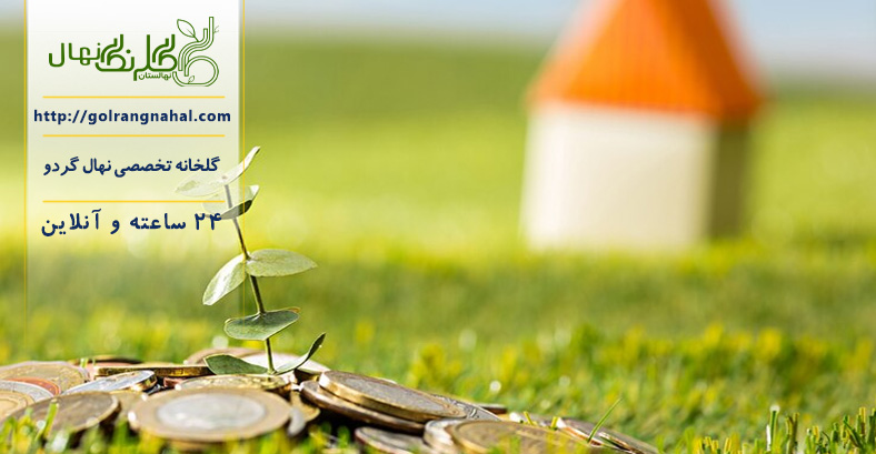 وام احداث باغ گردو 